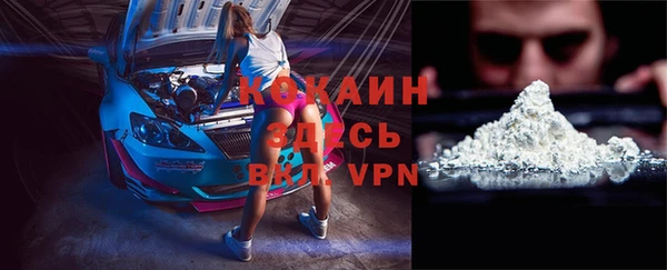 дмт Мегион