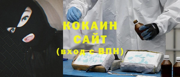 дмт Мегион