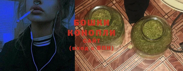 дмт Мегион