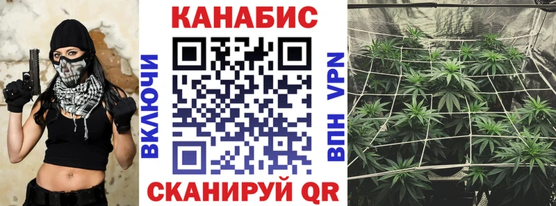 сколько стоит  Тбилисская  Канабис Amnesia 